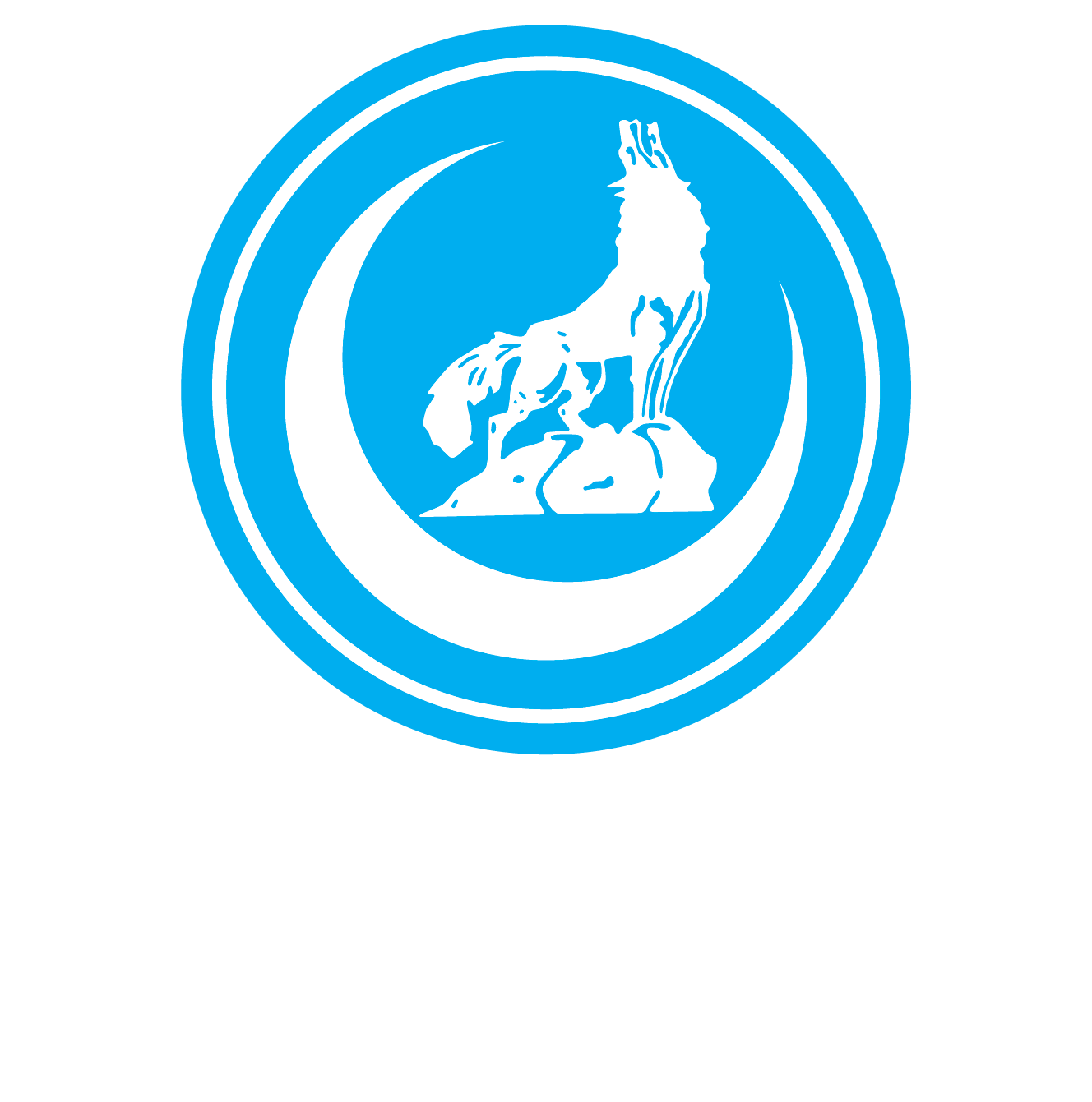 Samsun Ülkü Ocakları